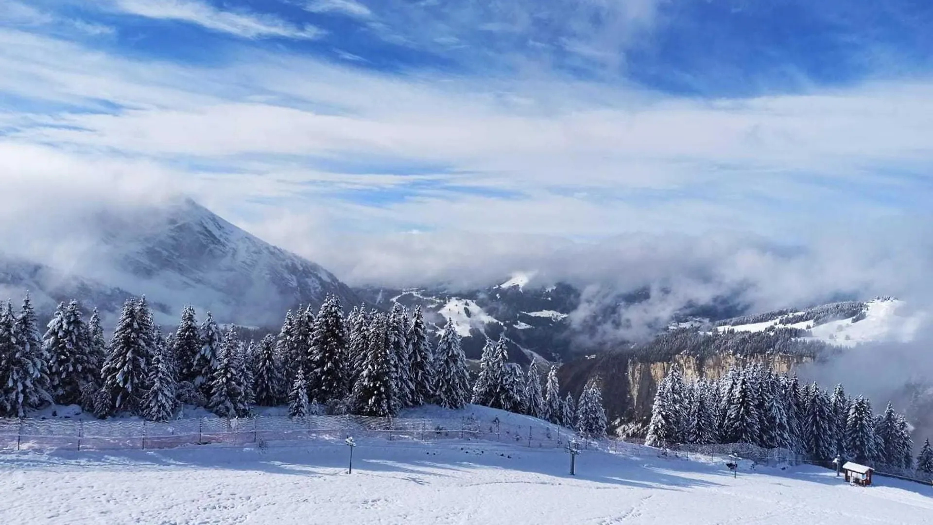 Appartamento Appartement Avoriaz, 2 pièces, 4 personnes - FR-1-633-32
